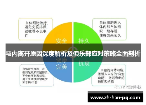 马内离开原因深度解析及俱乐部应对策略全面剖析