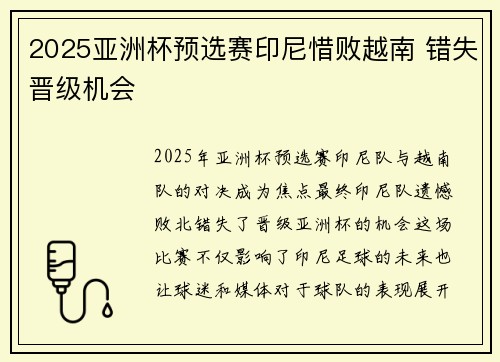 2025亚洲杯预选赛印尼惜败越南 错失晋级机会